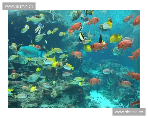 深海潜水打猎探秘：勇闯海底世界捕获珍稀生物的极限挑战